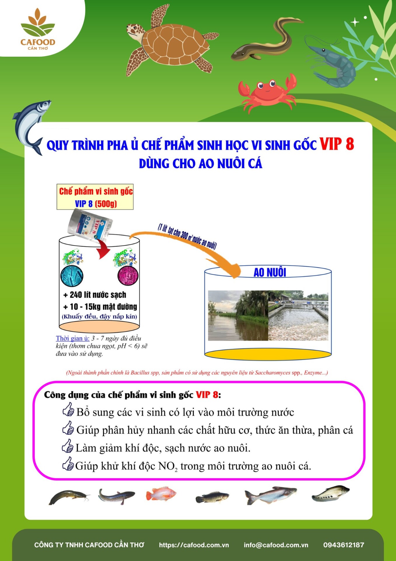 QUY TRÌNH PHA Ủ CHẾ PHẨM SINH HỌC VIP 8 DÀNH CHO AO NUÔI CÁ