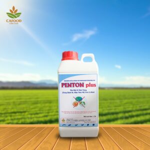 Penton 1L