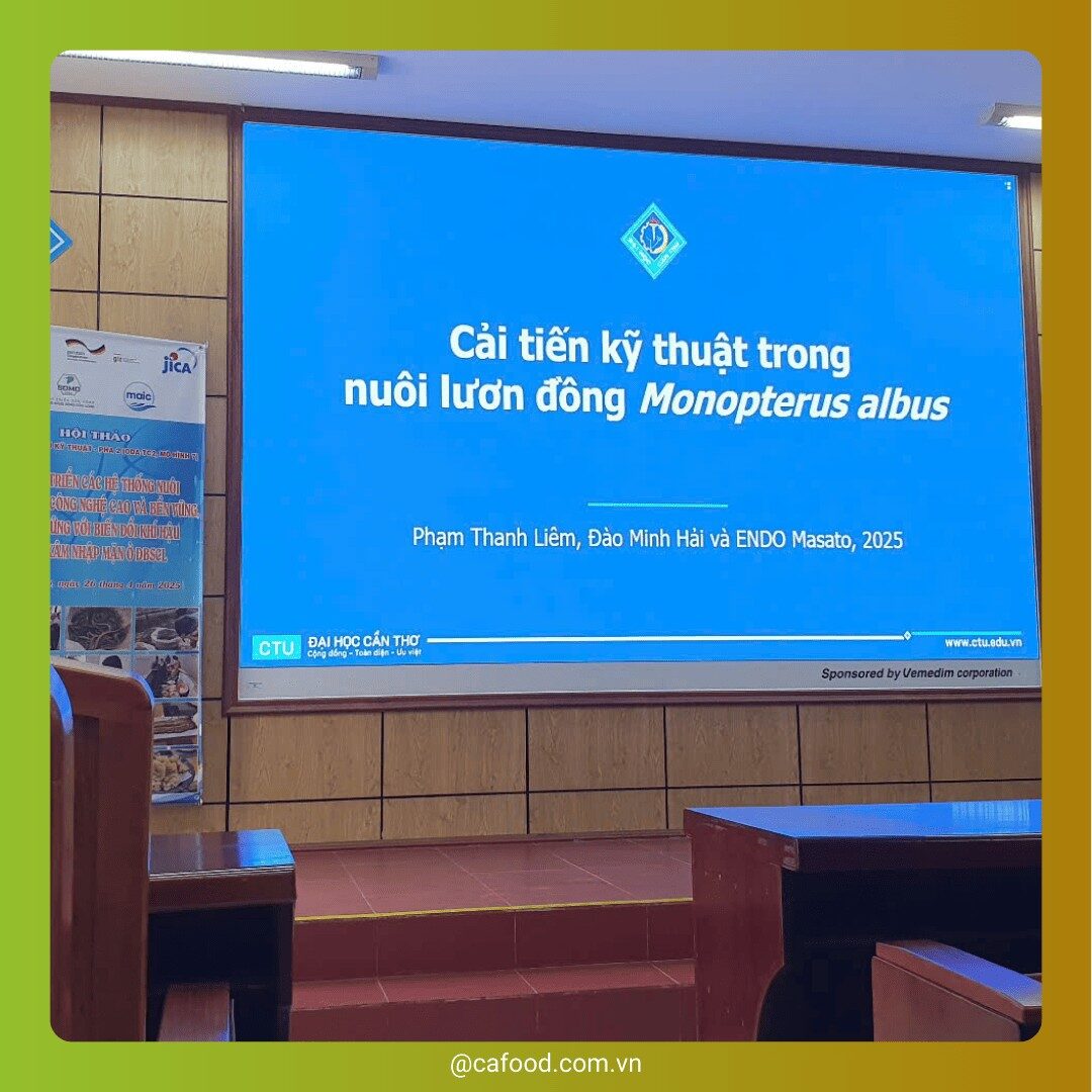 HỘI THẢO LƯƠN