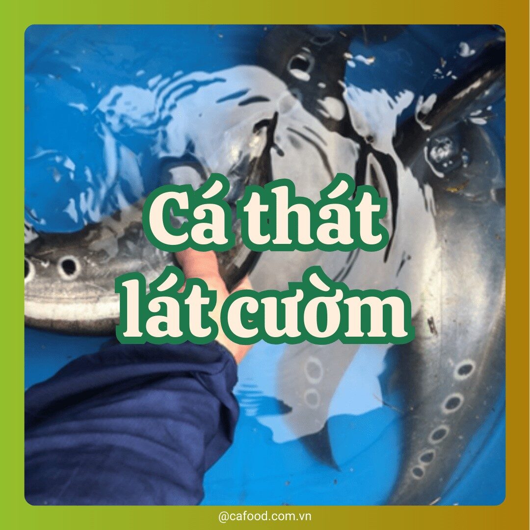CÁ THÁT LÁT CƯỜM
