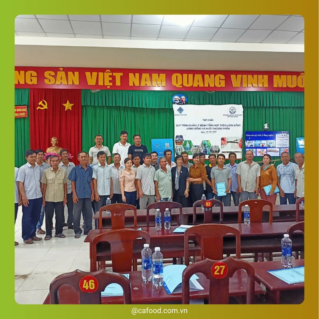 TẬP HUẤN