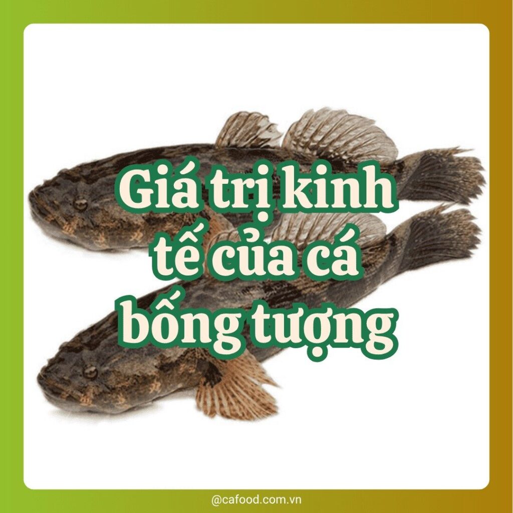 Cá bống tượng