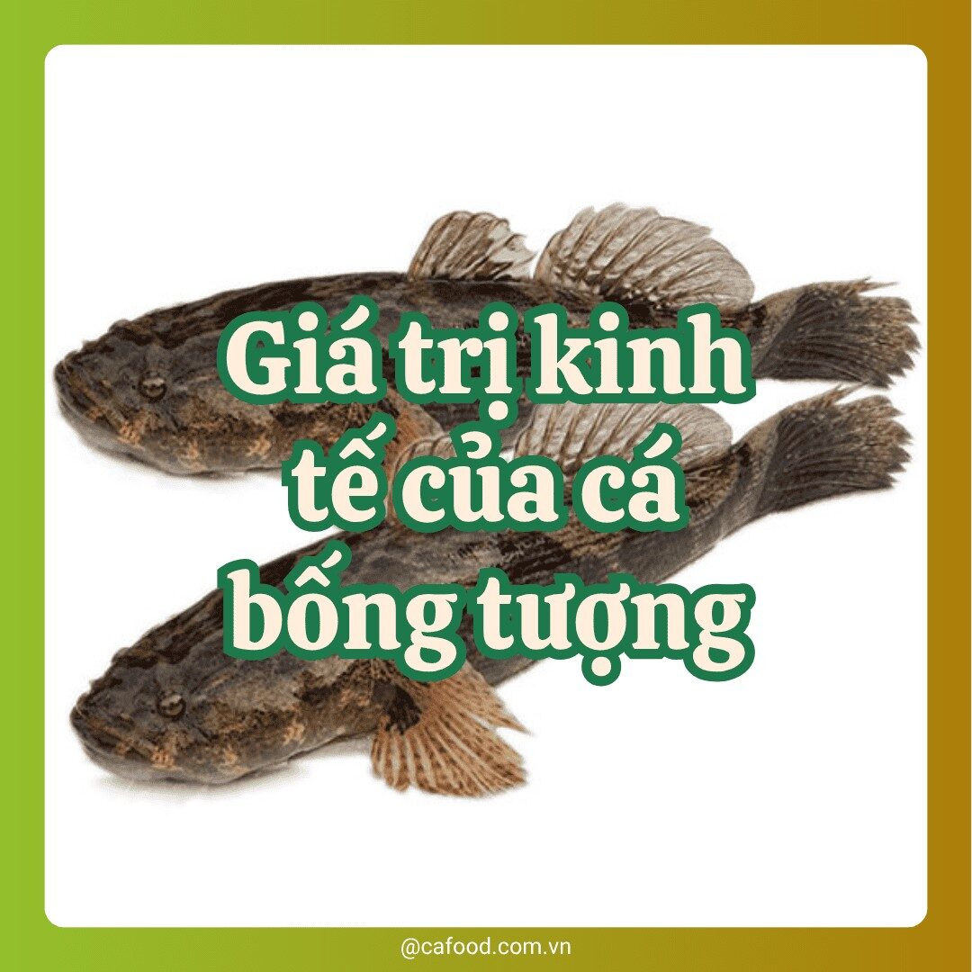 Cá bống tượng
