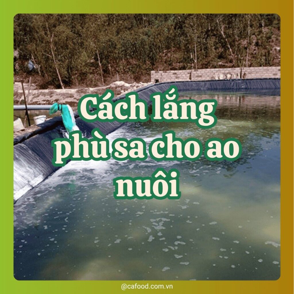 Lắng phù sa cho ao nuôi