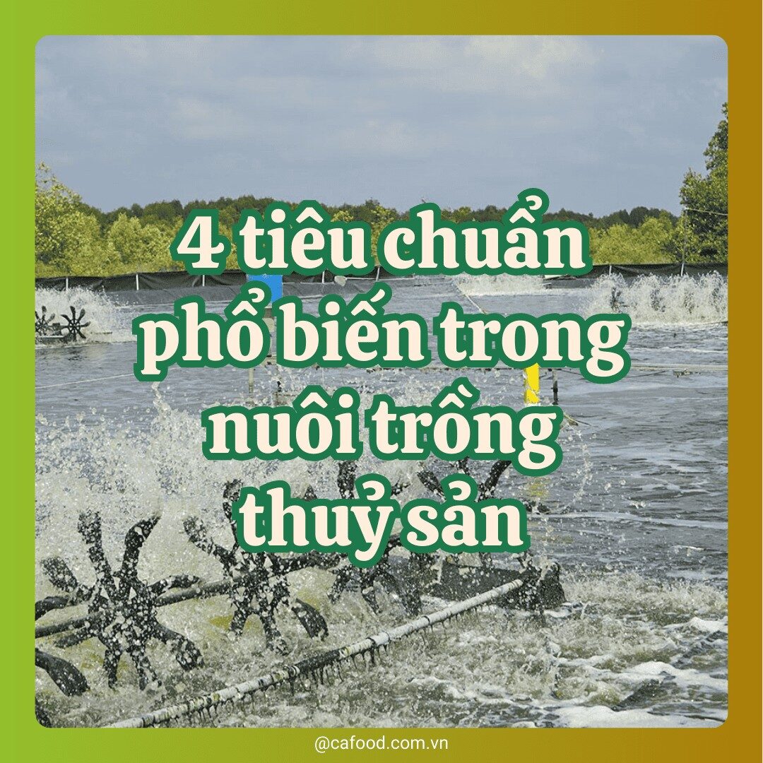 4 tiêu chuẩn phổ biến trong nuôi trồng thuỷ sản