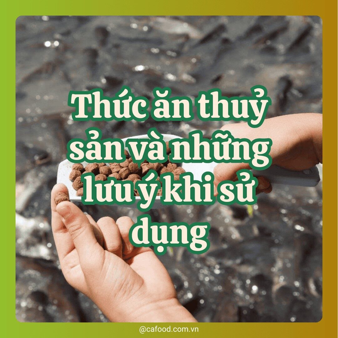 thức ăn thuỷ sản và những lưu ý khi sử dụng