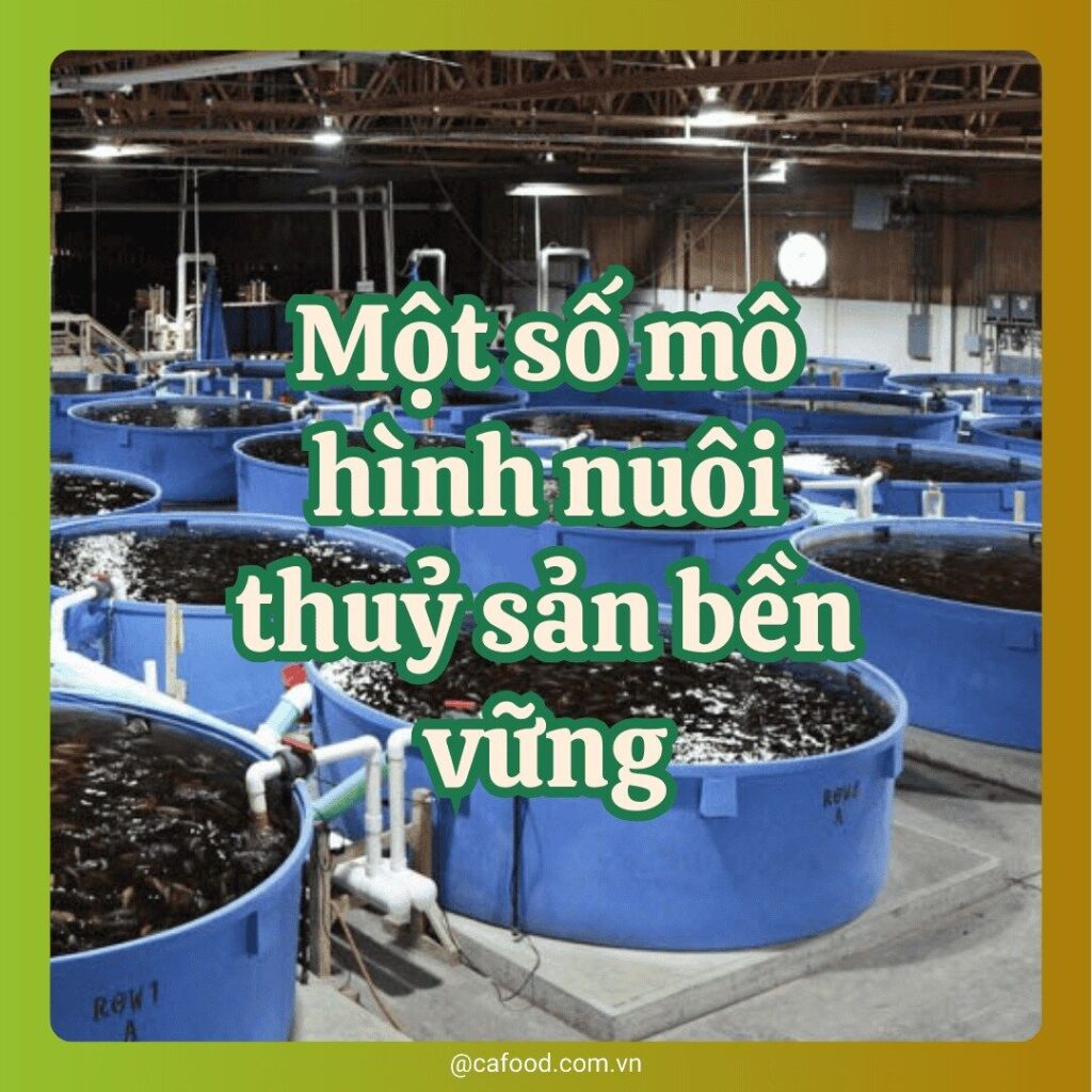 Một số mô hình nuôi thuỷ sản bền vững