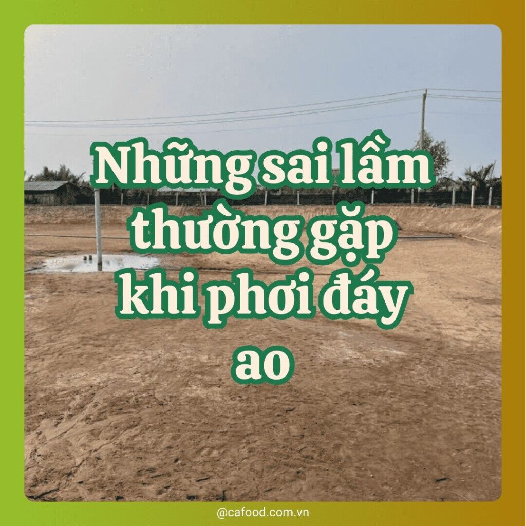 Sai lầm thường gặp khi phơi đáy ao