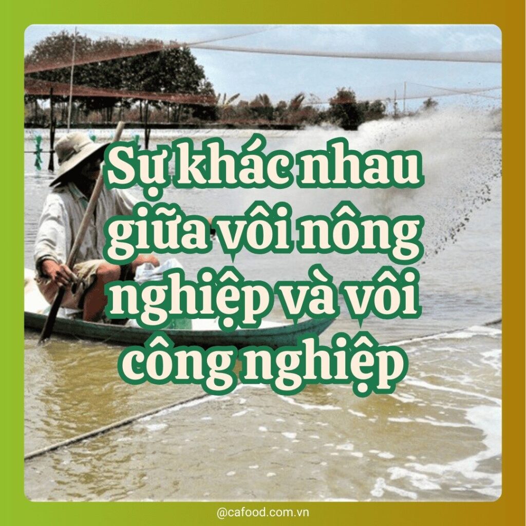 Vôi nông nghiệp và vôi công nghiệp