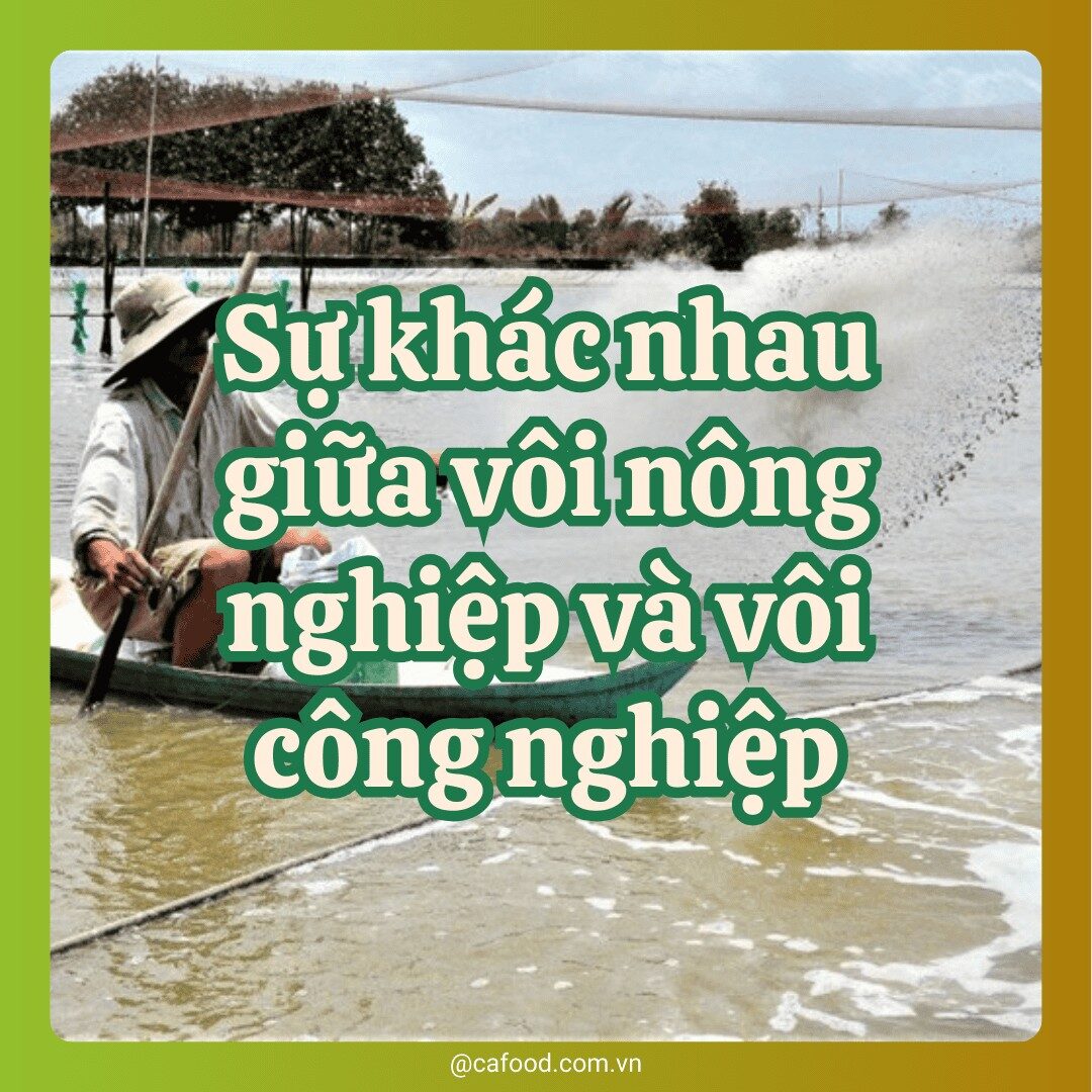 Vôi nông nghiệp và vôi công nghiệp