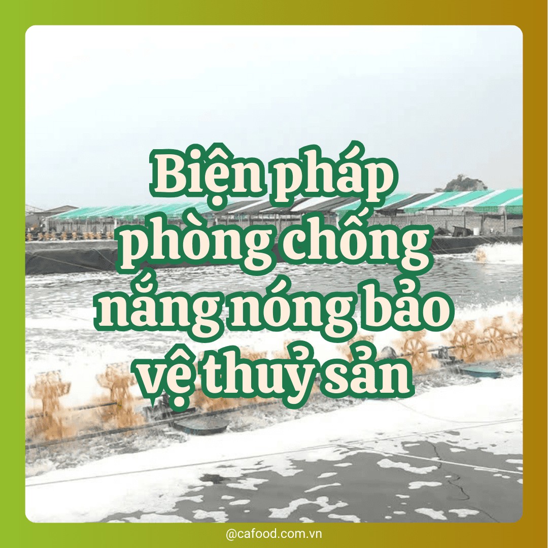 Biện pháp phòng chống nắng nóng bảo vệ vật nuôi thuỷ sản